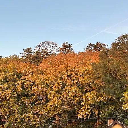 Klara * Balatonboglár